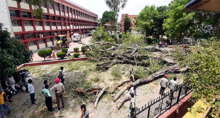 दर्दनाक हादसाः स्कूल में पेड़ गिरने से 4 बच्चे घायल, एक की मौत