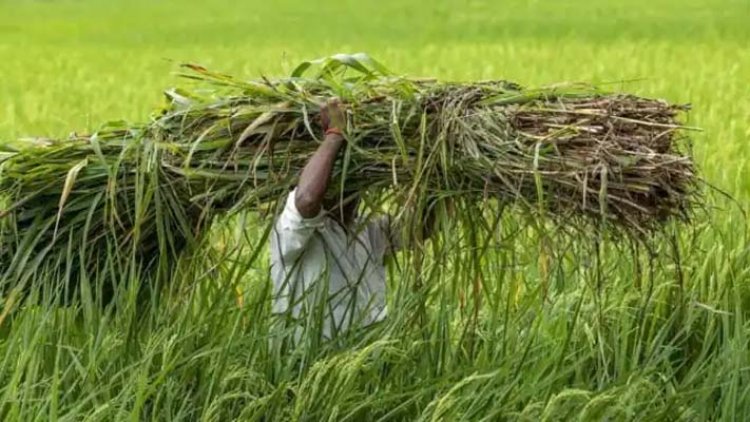 पीएम मोदी कैबिनेट में बड़ा ऐलानः किसानों के लोन पर ब्याज में 1.5 प्रतिशत की मिली छूट