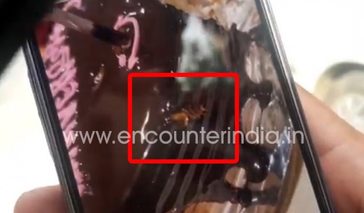 Jalandhar: केक में कॉकरोच मिलने के बाद Pirates of Grill रेस्टोरेंट की बढ़ी मुश्किलें, देखें वीडियो