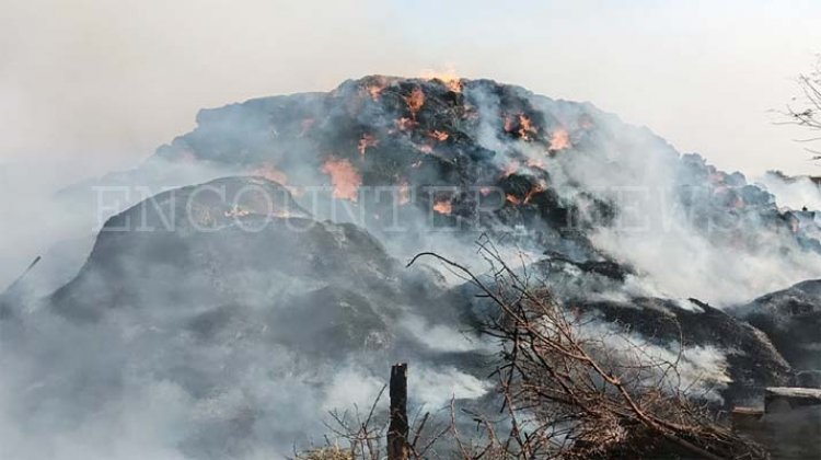 पंजाबः स्टोर की गई पराली को लगी भीष्ण आग, खाली करवाए गए डेरे के घर