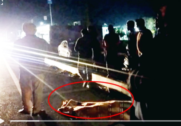 पंजाबः नेशनल हाइवे पर सड़क हादसे में एक की मौत, देखें वीडियो