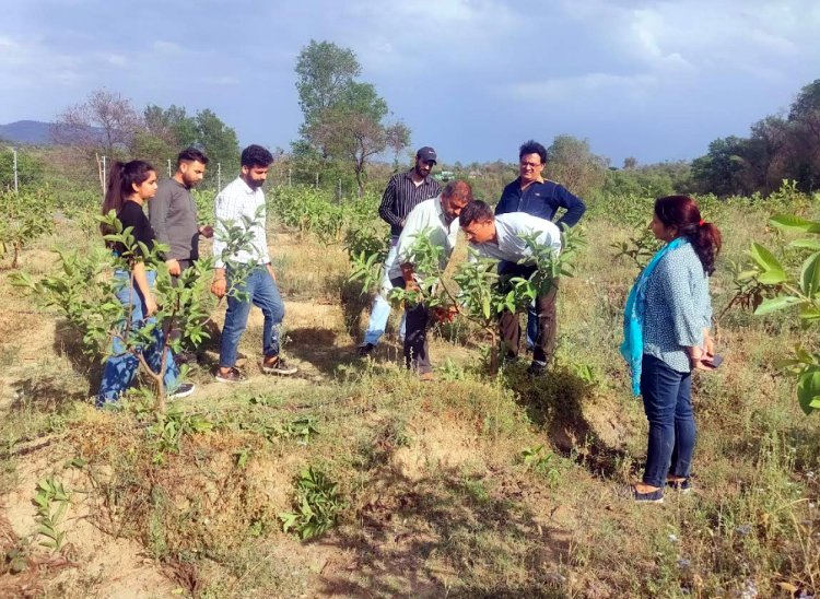 एचपी शिवा प्रोजेक्ट के तहत बंगाणा विकास खंड में 400 हेक्टेयर भूमि पर होगा बागवानी विकास
