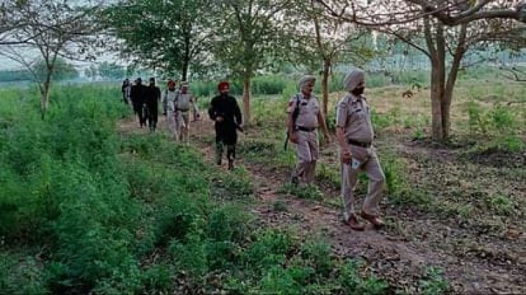 पंजाब : सीमा पर संदिग्ध व्यक्तियों के दिखने पर BSF ने की फायरिंग, चलाया सर्च ऑपरेशन, देखें वीडियो