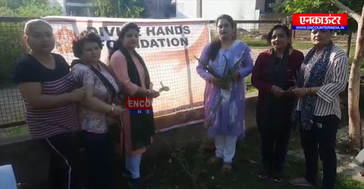 पंजाबः पठानकोट में महिलाओं ने संभाला मोर्चा, पौधे लगाने का दिया संदेश, देखें वीडियो