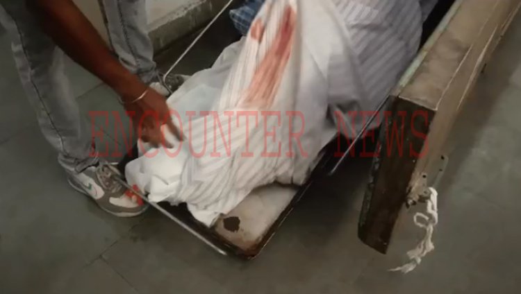 पंजाबः आवारा पशुओं ने बाइक सवार को टक्कर मारी, नहर में गिरे भाई-बहन, एक की मौत