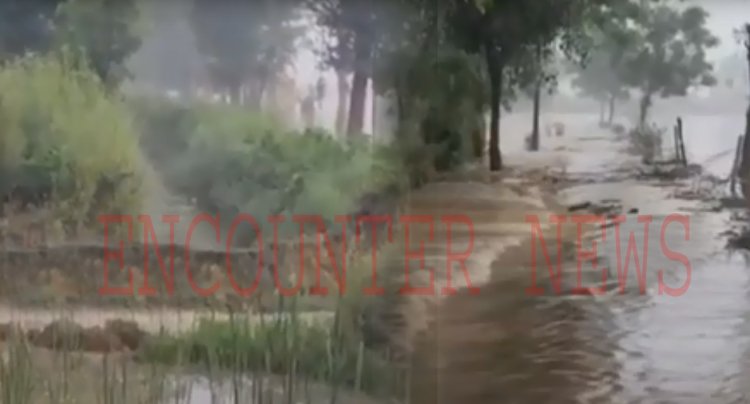 पंजाबः इस जिले का टूटा बांध, लोगों के घरों में घुसा पानी 