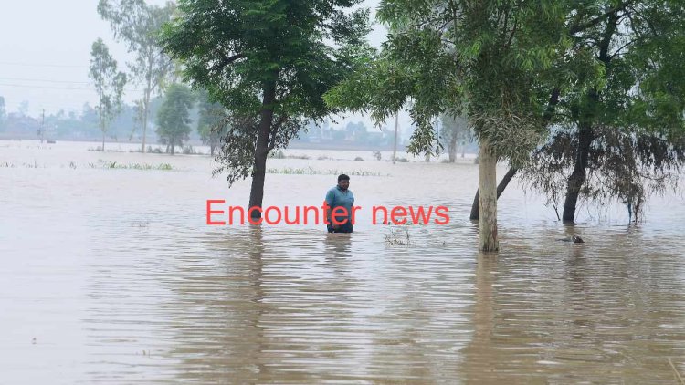 पंजाब और हरियाणा में भारी बारिश का अलर्ट, फिर बढ़ी चिंता