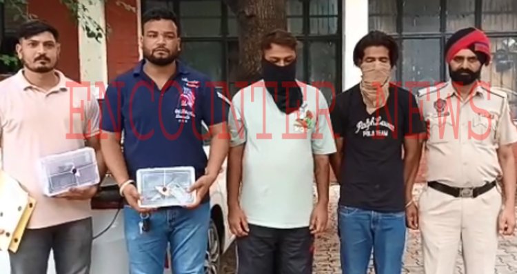 जालंधरः पुल के नीचे खड़े नशीली गोलियों, देसी माउजर और देसी कट्टे सहित 2 युवक गिरफ्तार, देखें वीडियो 