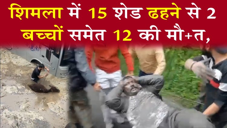 शिमला में 15 शेड ढहने से 2 बच्चों समेत 12 की मौत, देखें वीडियो