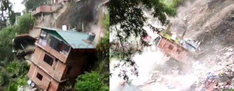 पेड़ गिरने से स्लॉटर हाउस और अन्य इमारतें हुई धराशाई, देखें वीडियो 