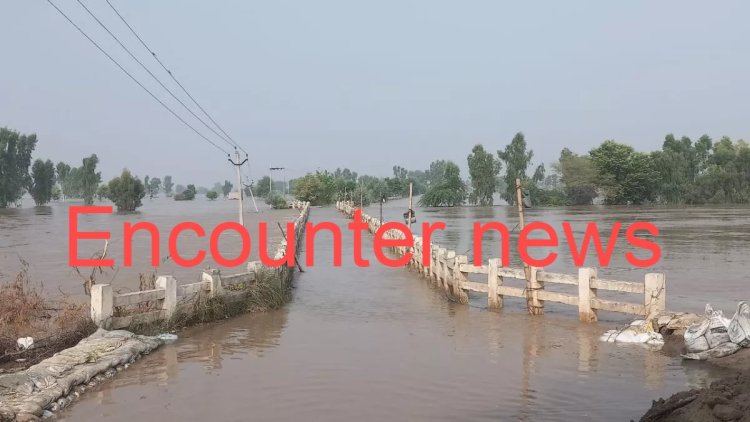 पंजाबः ओवरफ्लो होकर पुल के ऊपर से गुजर रहा पानी, इतने गांवों का टूटा संपर्क