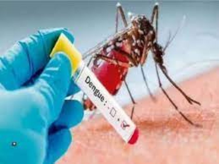 इन जिलों में बढ़ा डेंगू का खतरा, 7 की मौत