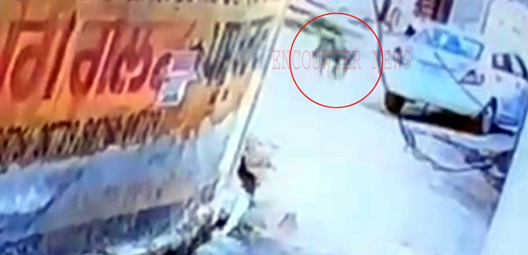 पंजाबः जंगली सूअर ने मचाया आतंक, 5 को किया घायल, एक की मौत, देखें CCTV