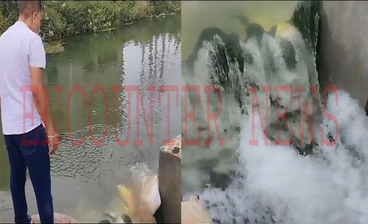 जालंधरः कालिया कॉलोनी के पास नहर में पानी का बहाव बढ़ने से मचा हड़ंकप, देखें वीडियो