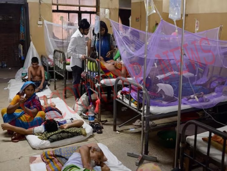 डेंगू के कारण बिगड़े हालात, 1 हजार से अधिक लोगों की मौत