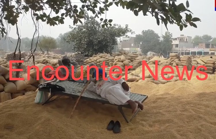 पंजाब :  मंडियों में आमद ज्यादा होने के कारण धान रखने को जगह पड़ी कम, देखें वीडियो