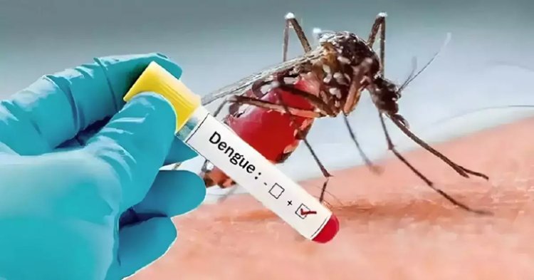 पंजाबः डेंगू का कहर, 10 हजार के पार पहुंची मरीजों की संख्या