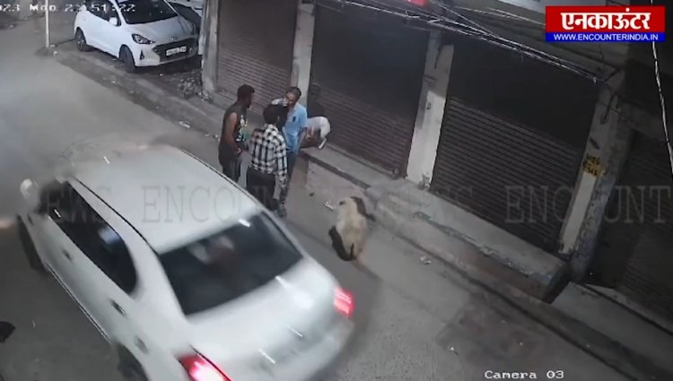 पंजाबः बेहरमी से गाड़ी चालक ने कुत्ते को कुचला, देखें CCTV