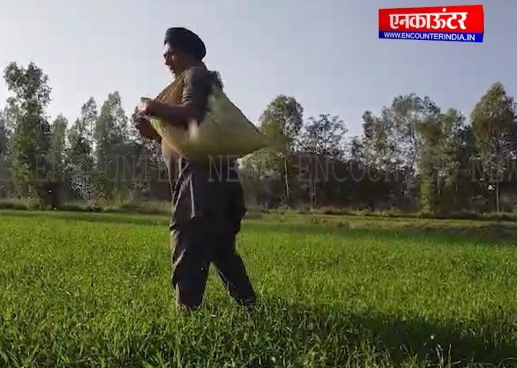 पंजाब :  किसानों ने सरकार व प्रशासन से यूरिया व दवाईयां उपलब्ध कराए जाने की मांग की, देखें वीडियो