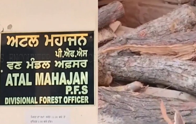 पंजाब : वन विभाग पर लगे गंभीर आरोप, देखें वीडियो