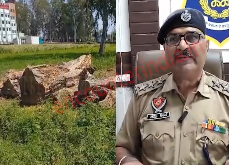 पंजाब : अधिकारी पर लगे लकड़ी चोरी करने के आरोप, देखें वीडियो
