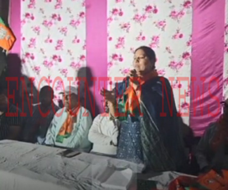 जालंधरः सुशील रिंकू की पत्नी आप पार्टी के लिए मांग रही वोट, वीडियो वायरल